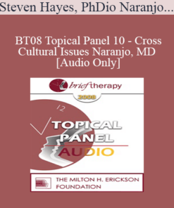 [Audio Only] BT08 Topical Panel 10 - Cross-Cultural Issues - Steven Hayes