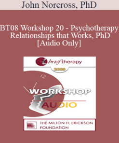 [Audio Only] BT08 Workshop 20 - Psychotherapy Relationships that Work: Tailoring the Relationship to the Individual Client - John Norcross