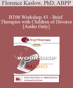 [Audio Only] BT08 Workshop 43 - Brief Therapies with Children of Divorce: Before