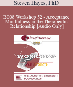 [Audio Only] BT08 Workshop 52 - Acceptance and Mindfulness in the Therapeutic Relationship - Steven Hayes