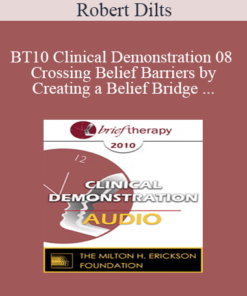 [Audio] BT10 Clinical Demonstration 08 - Crossing Belief Barriers by Creating a Belief Bridge - Robert Dilts