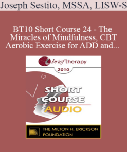 [Audio] BT10 Short Course 24 - The Miracles of Mindfulness