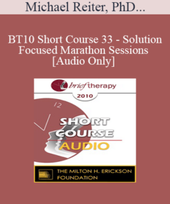 [Audio] BT10 Short Course 33 - Solution-Focused Marathon Sessions - Michael Reiter