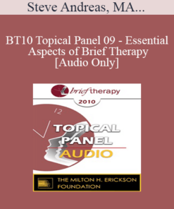 [Audio] BT10 Topical Panel 09 - Essential Aspects of Brief Therapy - Steve Andreas