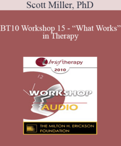 [Audio] BT10 Workshop 15 - “What Works” in Therapy: Translating 40 years of Outcome Research into Strategies for Effective Clinical Practice - Scott Miller