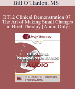 [Audio] BT12 Clinical Demonstration 07 - The Art of Making Small Changes in Brief Therapy - Bill O’Hanlon