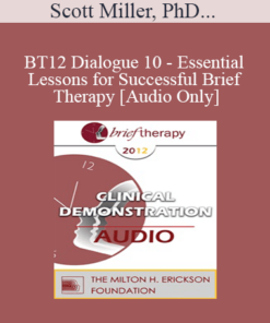 [Audio] BT12 Dialogue 10 - Essential Lessons for Successful Brief Therapy - Scott Miller