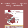 [Audio] BT12 Short Course 16 - Systemic Family Constellations: A Broken Heart Can Heal…Sometimes in One Beat - Dan Booth Cohen