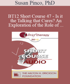 [Audio] BT12 Short Course 47 - Is it the Talking that Cures? An Exploration of the Role of Silence and Words in the Clinical Encounter - Susan Pinco