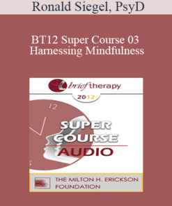[Audio] BT12 Super Course 03 - Harnessing Mindfulness: Tailoring the Practice to the Problem - Ronald Siegel