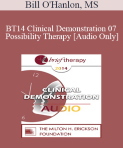 [Audio] BT14 Clinical Demonstration 07 - Possibility Therapy - Bill O'Hanlon