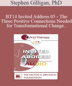 [Audio] BT14 Invited Address 05 - The Three Positive Connections Needed for Transformational Change - Stephen Gilligan