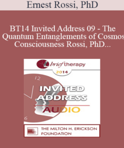 [Audio] BT14 Invited Address 09 - The Quantum Entanglements of Cosmos and Consciousness: A RNA/DNA Epigenomic Quantum Theory of the Cosmos/Consciousness Field - Ernest Rossi
