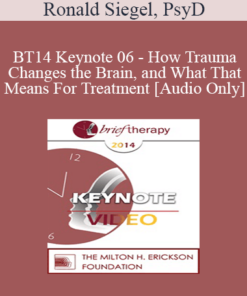[Audio] BT14 Keynote 06 - How Trauma Changes the Brain