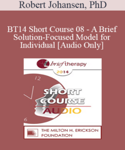 [Audio] BT14 Short Course 08 - A Brief Solution-Focused Model for Individual - Robert Johansen