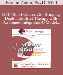 [Audio] BT14 Short Course 26 - Bringing Depth into Brief Therapy with Awareness Integration® Model - Foojan Zeine