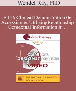 [Audio] BT16 Clinical Demonstration 06 - Accessing & Utilizing Relationship and Contextual Information in Brief Therapy - Wendel Ray