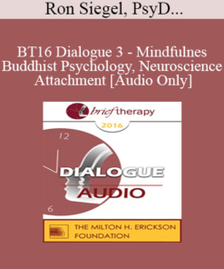 [Audio] BT16 Dialogue 3 - Mindfulness