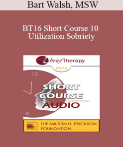 [Audio] BT16 Short Course 10 - Utilization Sobriety: Incorporating the Essence of Mind-Body Communication for Brief Individualized Substance Abuse Treatment - Bart Walsh