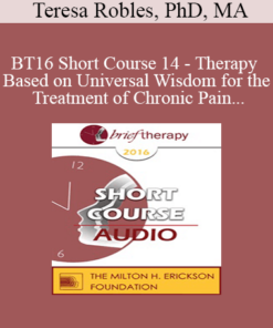 [Audio] BT16 Short Course 14 - Therapy Based on Universal Wisdom for the Treatment of Chronic Pain - Teresa Robles