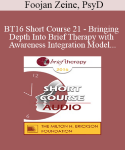[Audio] BT16 Short Course 21 - Bringing Depth Into Brief Therapy with Awareness Integration Model - Foojan Zeine