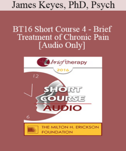 [Audio] BT16 Short Course 4 - Brief Treatment of Chronic Pain - James Keyes
