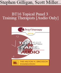 [Audio] BT16 Topical Panel 3 - Training Therapists - Stephen Gilligan