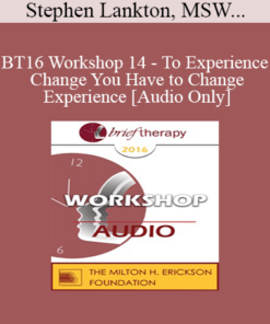 [Audio] BT16 Workshop 14 - To Experience Change You Have to Change Experience - Stephen Lankton