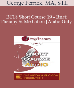 [Audio] BT18 Short Course 19 - Brief Therapy and Mediation - George Ferrick