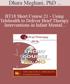 [Audio] BT18 Short Course 21 - Using Telehealth to Deliver Brief Therapy Interventions in Infant Mental Health - Dhara Meghani