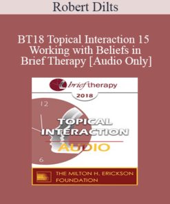 [Audio] BT18 Topical Interaction 15 - Working with Beliefs in Brief Therapy - Robert Dilts