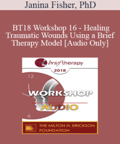 [Audio] BT18 Workshop 16 - Healing Traumatic Wounds Using a Brief Therapy Model - Janina Fisher
