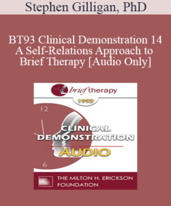 [Audio] BT93 Clinical Demonstration 14 - A Self-Relations Approach to Brief Therapy - Stephen Gilligan