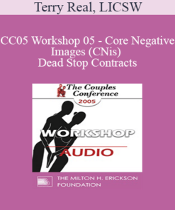 [Audio] CC05 Workshop 05 - Core Negative Images (CNis) and Dead Stop Contracts: Powerful Tools of Relational Recovery Therapy - Terry Real