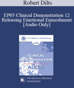 [Audio] EP05 Clinical Demonstration 12 - Releasing Emotional Enmeshment - Robert Dilts