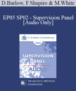 [Audio] EP05 SP02 - Supervision Panel - David Barlow