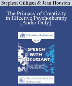 [Audio] EP17 Speech with Discussant 02 - The Primacy of Creativity in Effective Psychotherapy - Stephen Gilligan