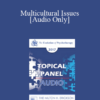 [Audio] EP17 Topical Panel 02 - Multicultural Issues - Robert Dilts
