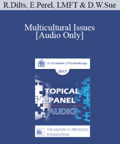[Audio] EP17 Topical Panel 02 - Multicultural Issues - Robert Dilts