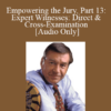 [Audio] Michael Tigar - Empowering the Jury, Part 13: Expert Witnesses: Direct & Cross-Examination