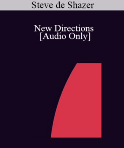 [Audio] IC04 Professional Resources Day Workshop 02 - New Directions: Inside and Outside - Steve de Shazer