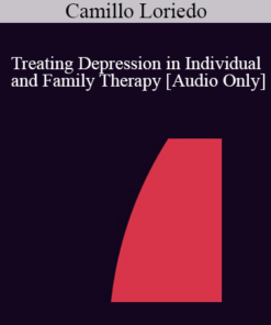 [Audio] IC04 Workshop 31 - Treating Depression in Individual and Family Therapy - Camillo Loriedo
