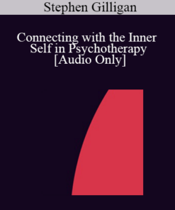 [Audio] IC07 Clinical Demonstration 02 - Connecting with the Inner Self in Psychotherapy - Stephen Gilligan