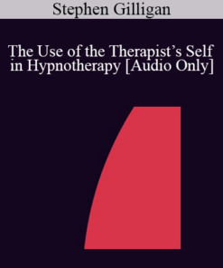 [Audio] IC07 Fundamentals of Hypnosis 06 - The Use of the Therapist’s Self in Hypnotherapy - Stephen Gilligan