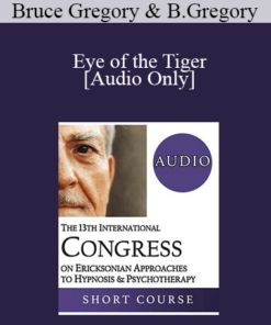 [Audio] IC19 Workshop 05 - Eye of the Tiger: The Integration of Quantum Physics with Mind-Body Hypnotherapy in the Transformation of Hidden Dimensions of Resistance in Couples and Organizations - Bruce Gregory