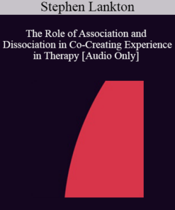 [Audio] IC92 Clinical Demonstration 12 - The Role of Association and Dissociation in Co-Creating Experience in Therapy - Stephen Lankton
