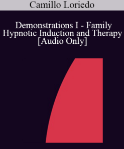 [Audio] IC92 Workshop 13a - Demonstrations I - Family Hypnotic Induction and Therapy - Camillo Loriedo