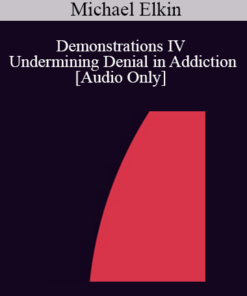 [Audio] IC92 Workshop 55b - Demonstrations IV - Undermining Denial in Addiction - Michael Elkin
