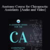 Audio and Video Anatomy Course for Chiropractic Assistants » Courses[GB]