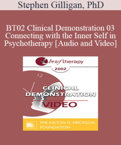 [Audio and Video] BT02 Clinical Demonstration 03 - Connecting with the Inner Self in Psychotherapy - Stephen Gilligan